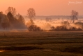 073_Biebrza - kwiecien 2012